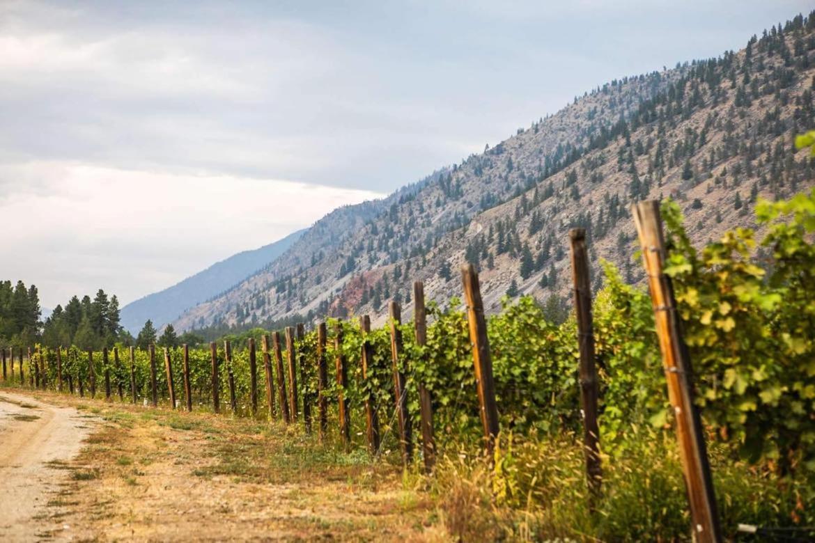 Similkameen Wild Resort & Winery Retreat Osoyoos Eksteriør billede