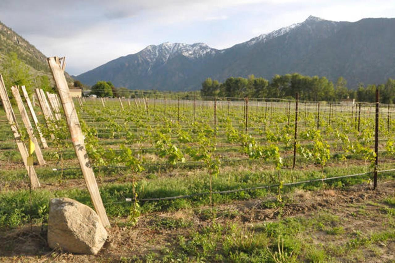 Similkameen Wild Resort & Winery Retreat Osoyoos Eksteriør billede
